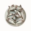 Frozen Fish Puti 2 KG UP IQF