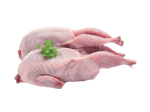 Frozen Halal Pigeon