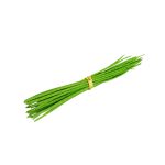 Frozen-Vegetables-Sajna-Data