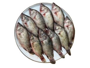 Meni Fish