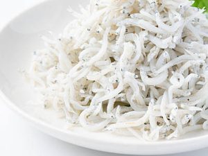 Nonia-Gura-Fish