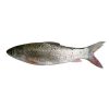Nola fish