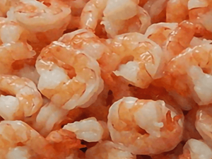 Shrimp Harina PUD IQF