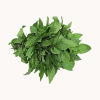 Frozen Vegetables Molokhia (Pat Shak)