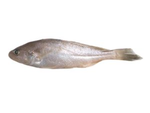 Poa Fish