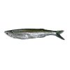 Chelapata fish
